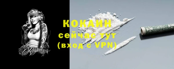 метадон Горняк