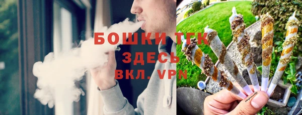 шишки Алзамай