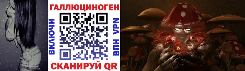 Псилоцибиновые грибы Magic Shrooms  Щёлково 