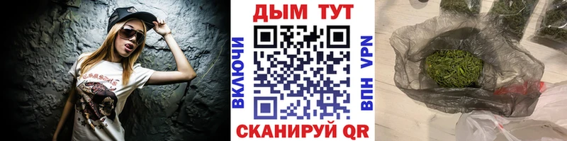 ссылка на мегу зеркало  Щёлково  Марихуана планчик  где купить наркоту 